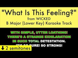 "What Is This Feeling?" (Lower Key) from Wicked (B Major) - Karaoke Track with Lyrics on Screen