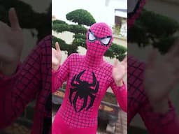 Người nhện đáng thương | Poor Spider-Man