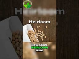 Unlocking the Truth: Open-Pollinated vs. Heirloom Seeds