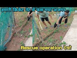 Cricket नेट में फंस गया विशाल अजगर, कैसे किया rescue operation? Cricket with Sachin Bora save animal