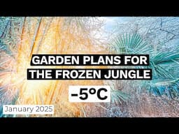 Jungle Garden Winter Freeze Tour & 2025 Projects