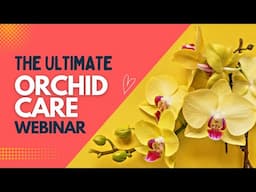 THE EXCLUSIVE ORCHID CARE 101 WEBINAR