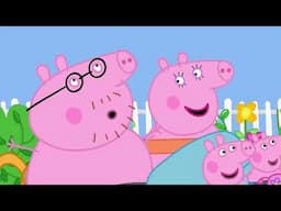 What's Up Daddy Pig?!?!?! Kids Videos Peppa Pig Tales Full Episodes