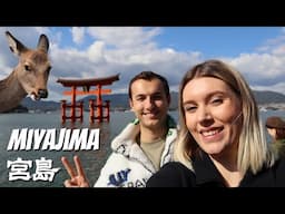 MIYAJIMA full day travel guide | Japan's best day trip