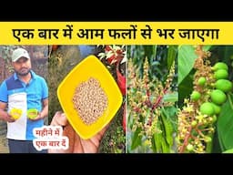 Mango Plant Fertilizer | इस चीज से आम फल फूल से भर जाएगा | Home Garden