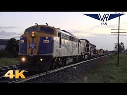 Freight Trains at Jacana: Australian Trains in 4K