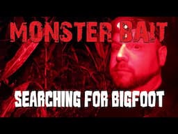 ALONE in a CORNFIELD at night searching for Bigfoot! Stung by HORNETS!