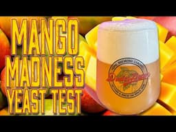 WHC Mango Madness Yeast Test and Review with NEIPA Recipe!