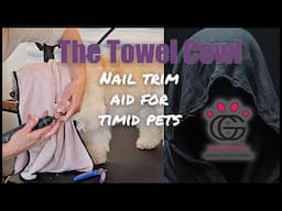 The Towel Cowl – Timid pet nail clipping tip with Thunder the Maltipoo!