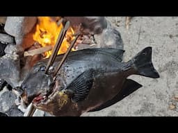 Fishing Catch & Cook on Remote Island Beach - Fishing with a spear! (I almost died)