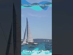 #shorts - Starboard Or Port. Who Has Right Of Way? - Little Known Sailing Facts