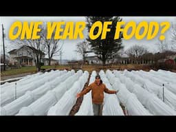 Can I Grow Enough Food to Feed My Family For a Year? (365 Days of Growing Food)