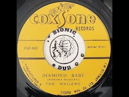 THE WAILERS - Diamond Baby [1965]