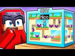 TRAPPED Inside an ANT FARM in Minecraft!