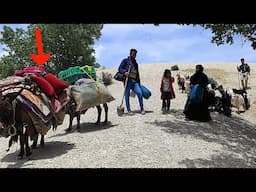 Documentary about the nomadic lifestyle of Professor Salman and Janan