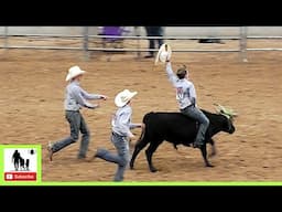 Wild Steer Racing - 2024 West Texas Youth Ranch Rodeo | Saturday (Censored)