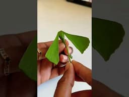 DIY leaf puppets #viral_video #diy #leaf