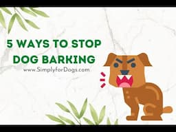 Ways to Stop Dog Barking