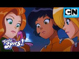 Creepy Crawly Creature Catcher 🪳 | Totally Spies | Cartoon Network