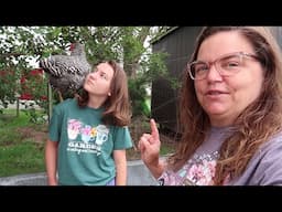 Homestead Animals|| Meet Samantha Our Friendly Lovable Spoiled Chicken!