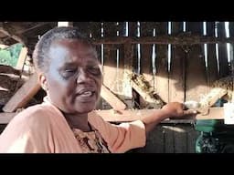 WOMEN POWER: From 3 Local to 35 Pedigree Cows and 150 Litres a Day