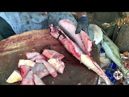 FISH CUTTING | FISH CUTTING SKILLS | FISH CUTTING VIDEOS #kasimedu | UK SONS MARINE