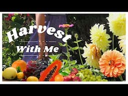 Relaxing Garden Work Day & Harvest With Me | Fruits, Herbs & Cut Flowers