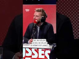 Sel de céleri ou sel au céleri ? le débat est lancé !