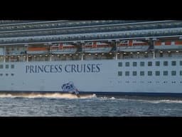 Crown Princess arrives in Sydney Harbour at the start of the 2024/25 season - and what a welcome!