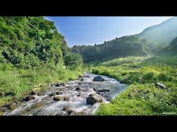 4K Serene Green Valley, Flowing River Sounds 10 Hours. Relaxing River, Water White Noise for Sleep