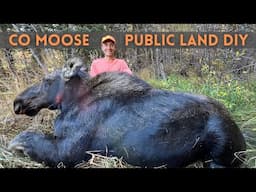 CO Moose Hunt 2024 DIY