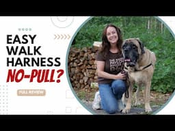 PetSafe Easy Walk Harness Review | Is it REALLY a NO-PULL Dog Harness? [FULL REVIEW]