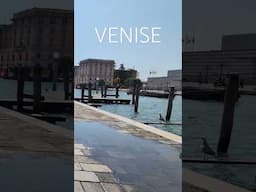 Venise, Italie, #voyage #travel #italie #pizza #pasta #vlog