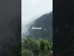 Want to go back #travel #punjabisong #hillstation #kerala #vacation #nature #fog #mountains