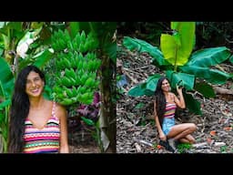 Planting 100+ Banana Palms 🍌🌴🐒 Before & After Property Transformation 🌱 Raw Vegan Living in Hawaii 🌺