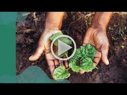 A sustainable future rooted in healthy soil