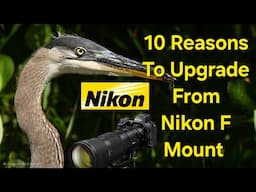 TEN Reasons why the Nikon 180-600 is a Great Upgrade