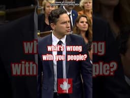 What's wrong with you people? Poilievre furiously BLASTS Liberals' hug-a-thug catch-release system