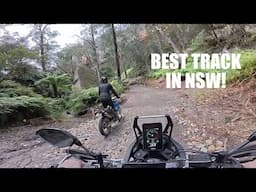 YAMAHA TENERE WORLD RAID 6 DAY SOLO ADVENTURE! Day 4 - BEST TRACK IN NEW SOUTH WALES!