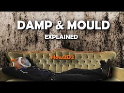 Black Mould Damp and Condensation Explained  How to get rid of Black Mold