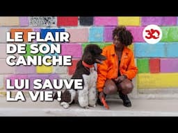 Ce caniche a un super pouvoir !