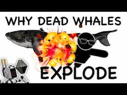 Why Dead Whales Explode | Bleak Science Corp.