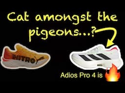 Does the Adios Pro 4 outdo Puma Nitro Elite 3 as my race day shoe? // Sub 72 half marathon aged 50