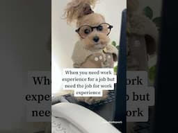 Which came first? The chicken or the egg? #noodlesthepooch #funnyshorts #workhumor