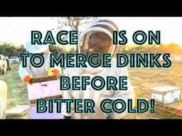 Commercial Beekeepers Prep for Arctic Blast in Texas - Dink City strikes @ Worst TIme Hives Collapse