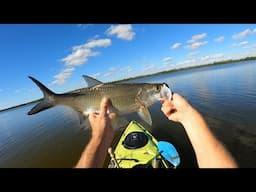 ASMR BackCountry Adventure / Catching More Fish in a Day Then Most People Catch in a Lifetime!