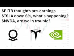 $PLTR thoughts pre-earnings, plus $TSLA & $NVDA