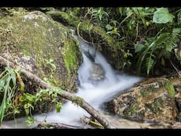 Sonido Natural de agua para relajar y dormir