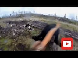 wild animal Encounters/Close Calls. CAUGHT ON TAPE