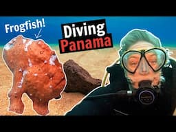 Scuba Diving in Coiba National Park, Panama